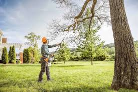 Best Lawn Pest Prevention  in Gold River, CA